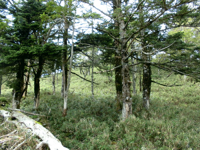 sagar088.jpg