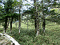 sagar088_thumb.png