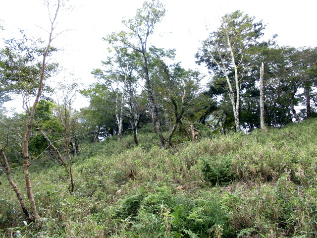 sagar089.jpg