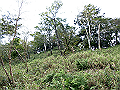 sagar089_thumb.png