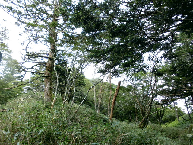 sagar090.jpg