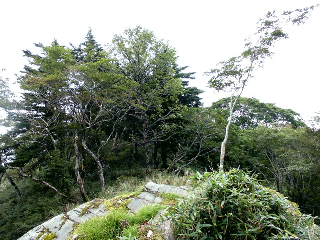 sagar091.jpg
