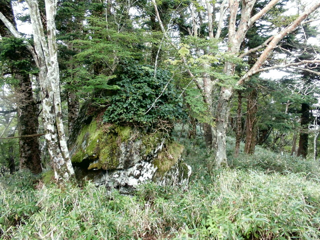 sagar093.jpg