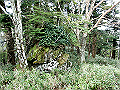 sagar093_thumb.png