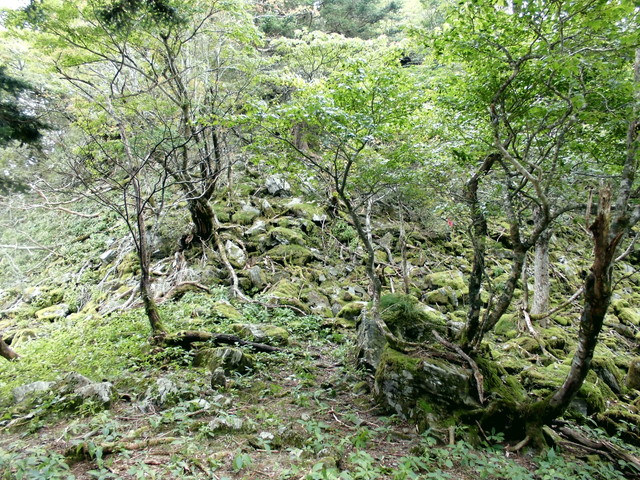 sagar094.jpg