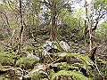 sagar095_thumb.png