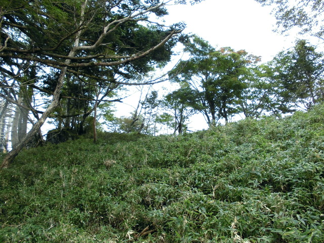 sagar096.jpg