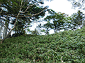 sagar096_thumb.png