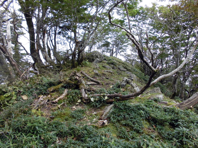 sagar097.jpg