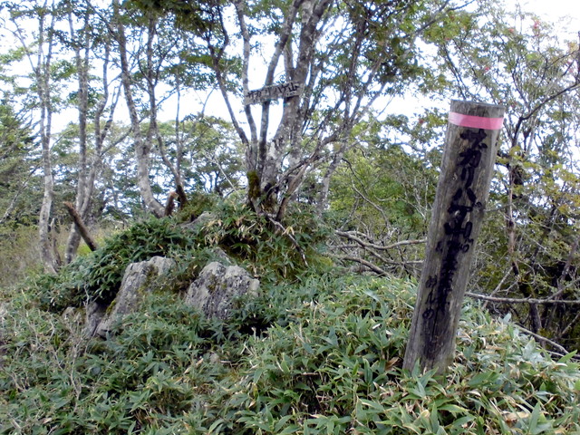sagar098.jpg