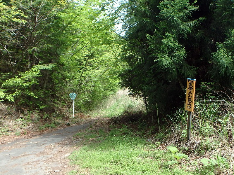 sanbou07.jpg