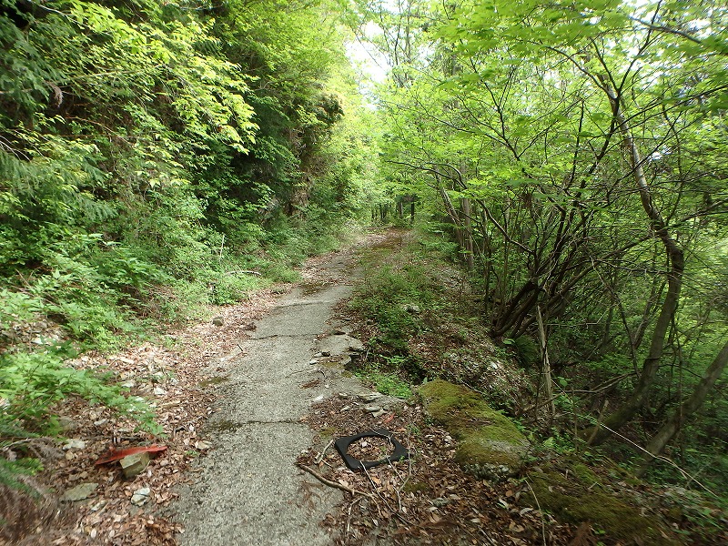 sanbou09.jpg