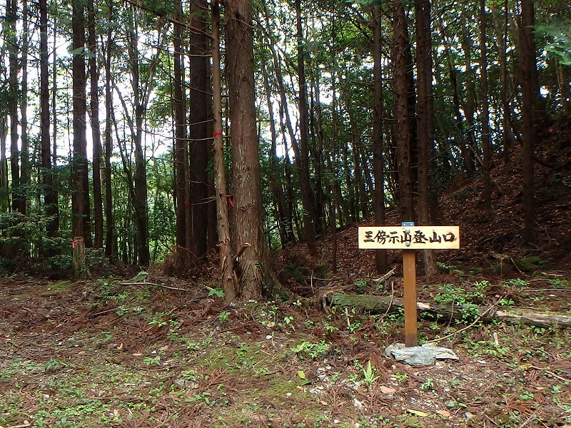 sanbou12.jpg