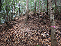 sanbou14_thumb.png