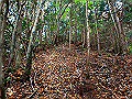 sanbou15_thumb.png