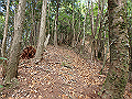 sanbou29_thumb.png