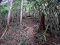 sanbou30_thumb.png