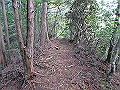 sanbou32_thumb.png