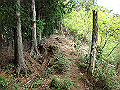 sanbou36_thumb.png