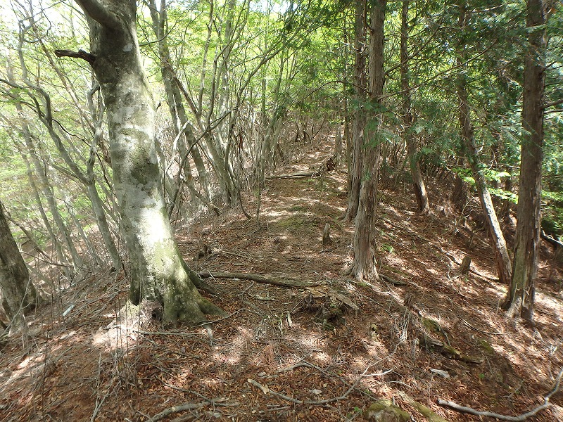 sanbou44.jpg