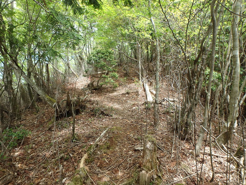 sanbou45.jpg