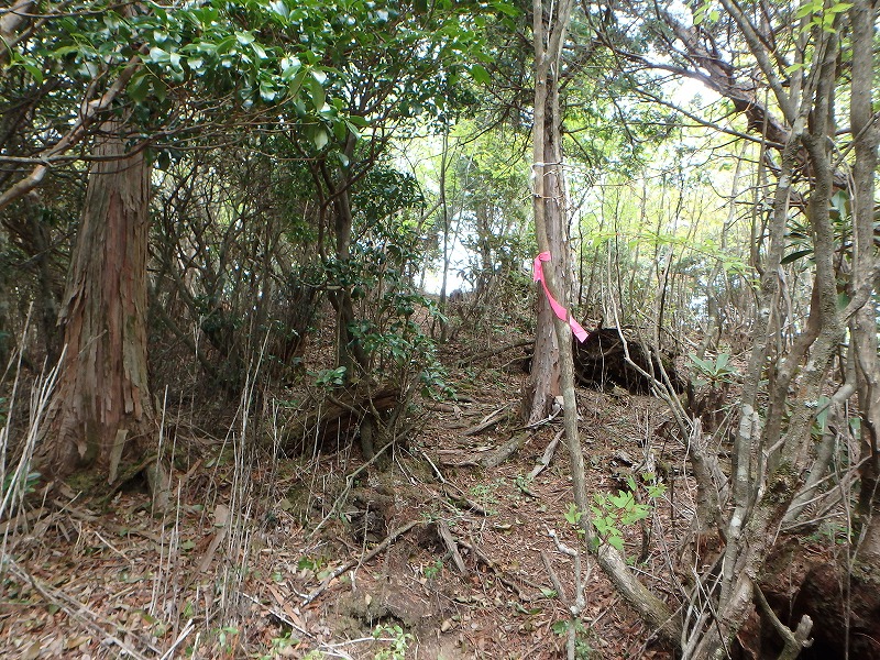sanbou46.jpg