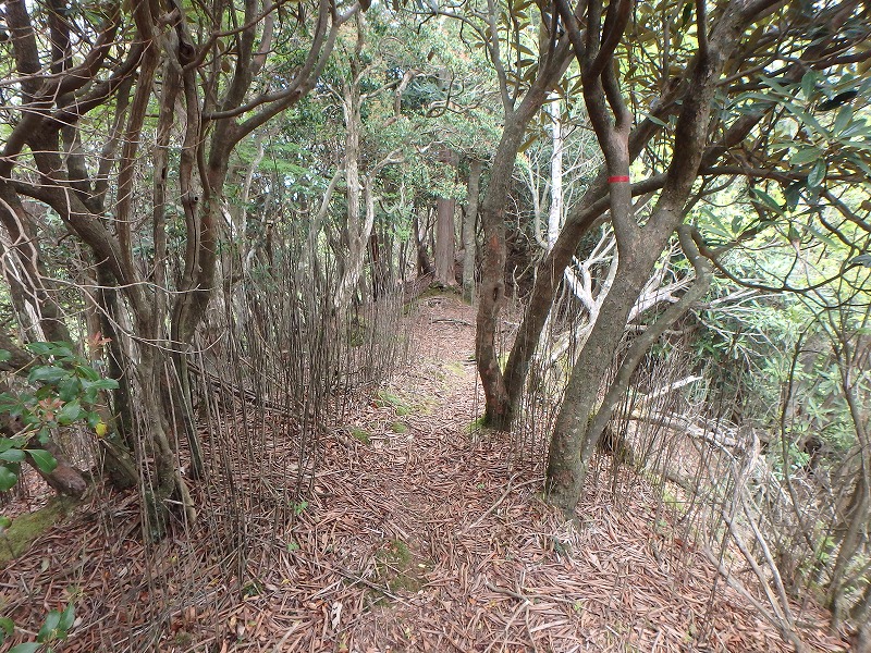 sanbou47.jpg