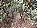 sanbou47_thumb.png