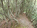 sanbou48_thumb.png