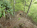 sanbou49_thumb.png