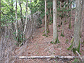 sanbou51_thumb.png