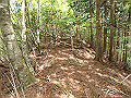 sanbou58_thumb.png