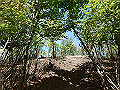 sanbou63_thumb.png