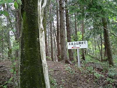 syozen16.jpg