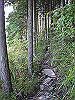 tengu007_thumb.jpg