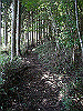 tengu016_thumb.jpg
