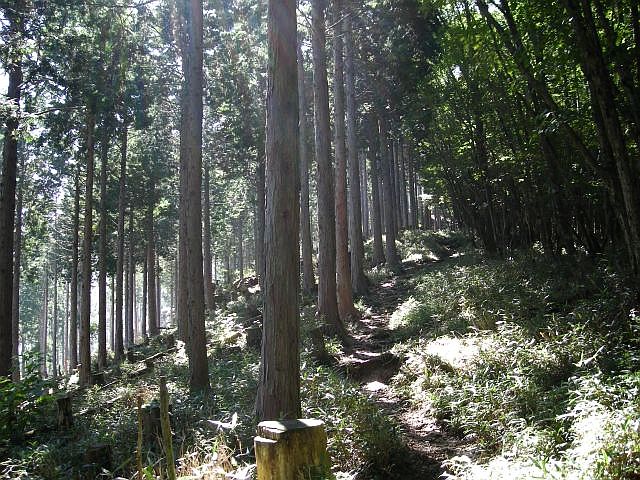 tengu017.jpg