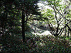 tengu023_thumb.jpg