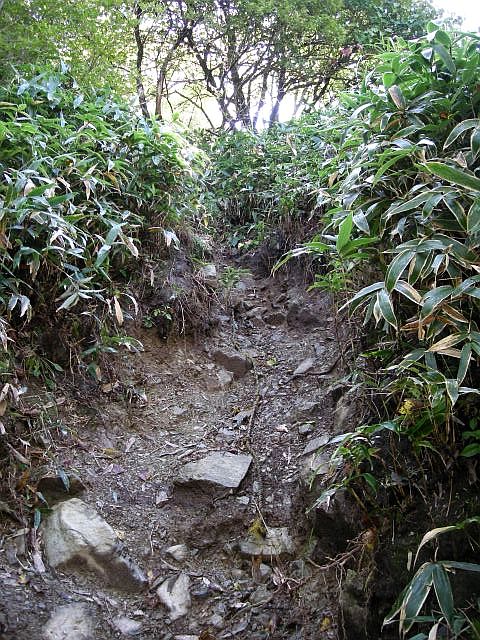 tengu024.jpg