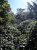 tengu026_thumb.jpg