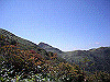 tengu029_thumb.jpg