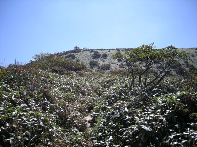 tengu030.jpg