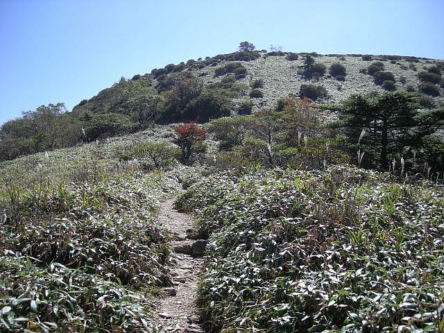 tengu031.jpg