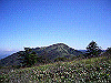 tengu032_thumb.jpg