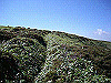 tengu034_thumb.jpg