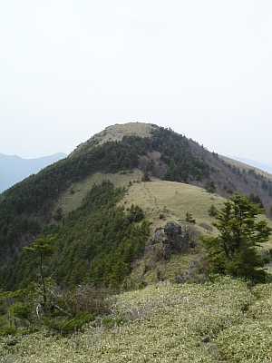 toumaru28.jpg