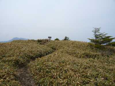 toumaru29.jpg