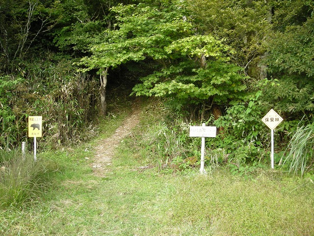 tunatuke009.jpg