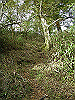 tunatuke010_thumb.png