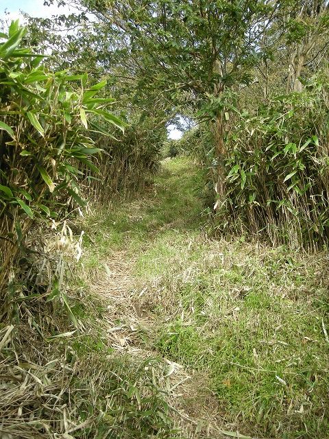 tunatuke011.jpg